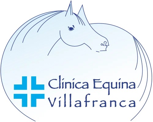 Clinica Equina Villafranca